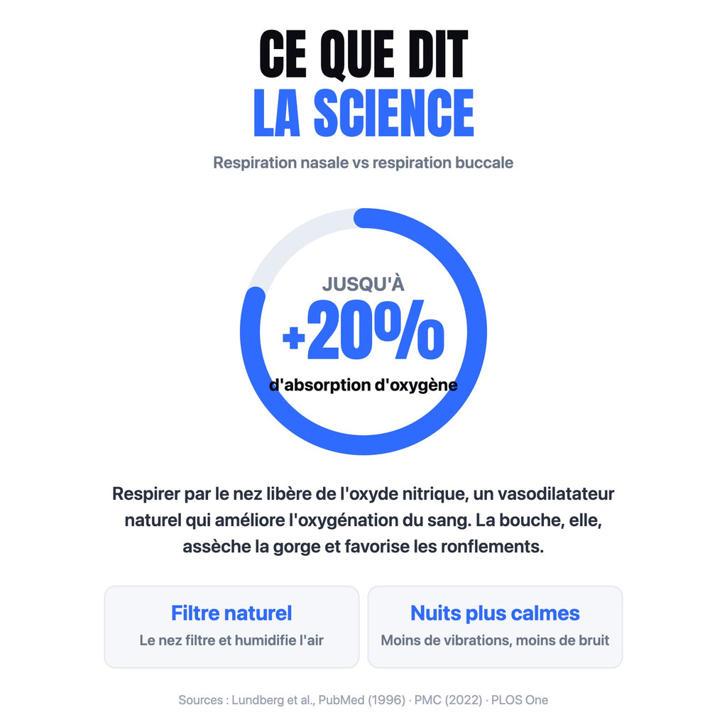 NOX — ce que dit la science, +20% absorption oxygène (sources PubMed)